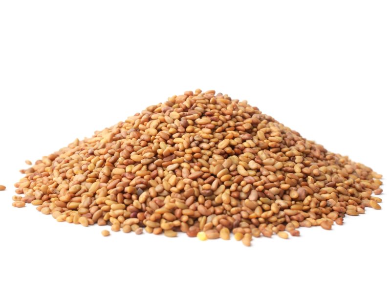 40100-alfalfa-seeds